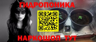 ПСИЛОЦИБИНОВЫЕ ГРИБЫ Боровичи