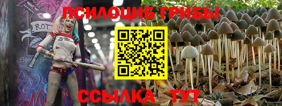 Галлюциногенные грибы Magic Shrooms  Вход с VPN  Выборг  Галлюциногенные грибы Magic Shrooms 